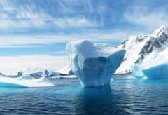 Vara neasteptat de calduroasa in Antarctica: Cea mai ridicata temperatura in ultimii 60 de ani